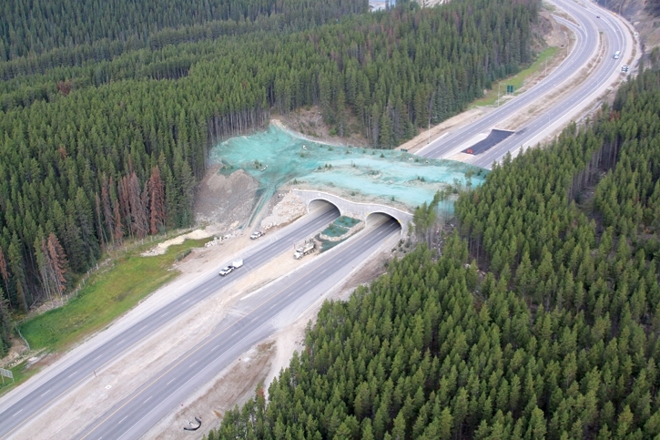 Wildlife Overpass in Alberta