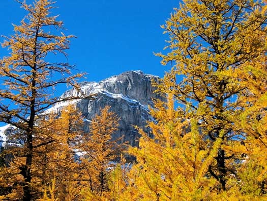 Larch Mountain
